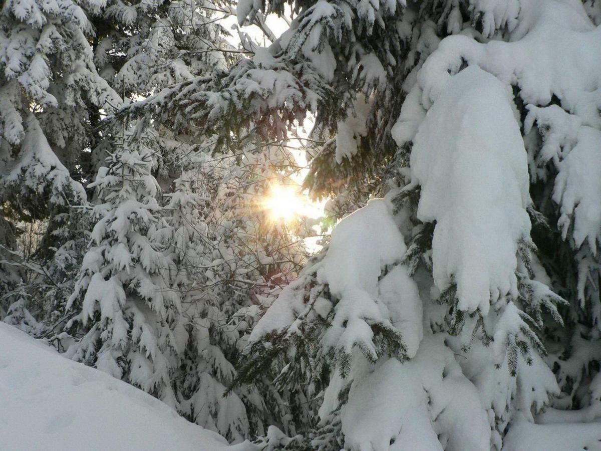 Gite Rose Andree Saulxures-sur-Moselotte Esterno foto