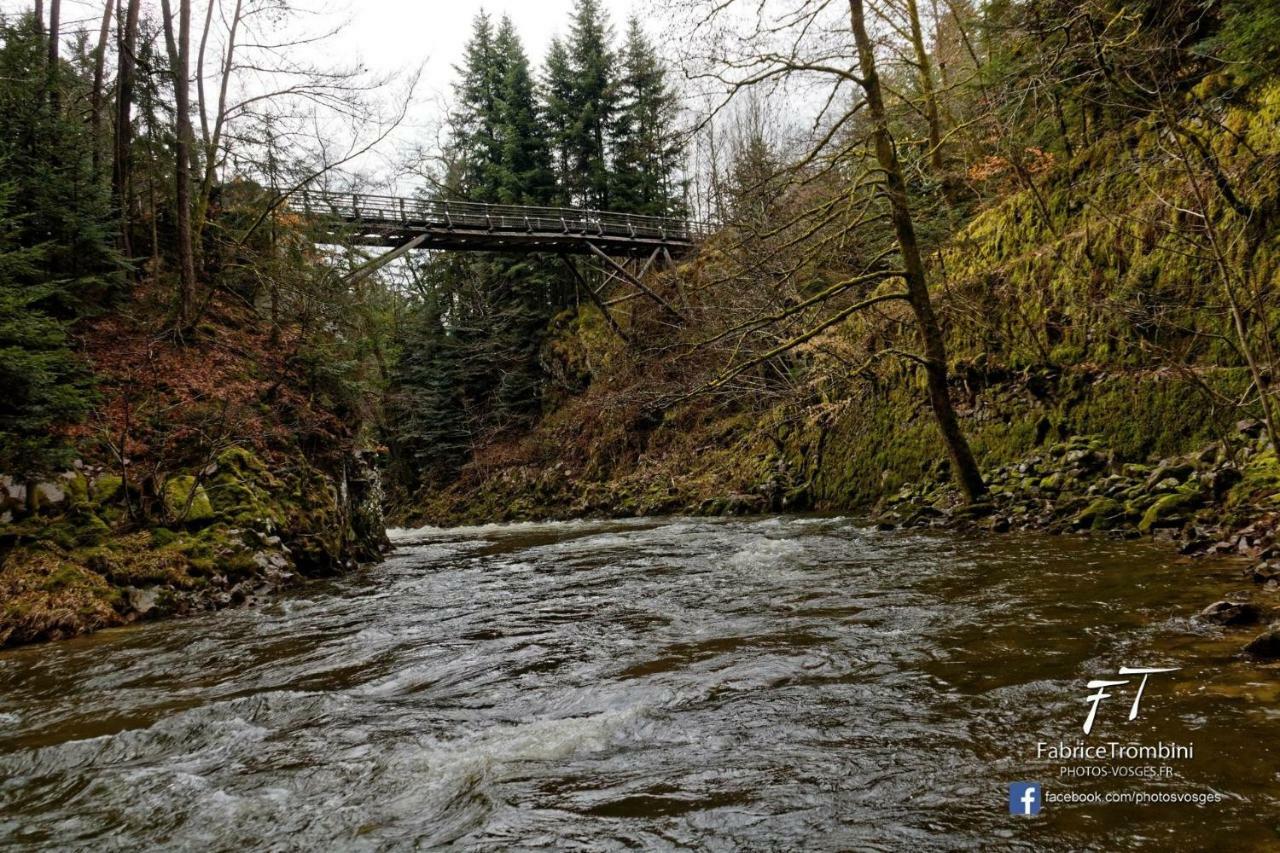 Gite Rose Andree Saulxures-sur-Moselotte Esterno foto