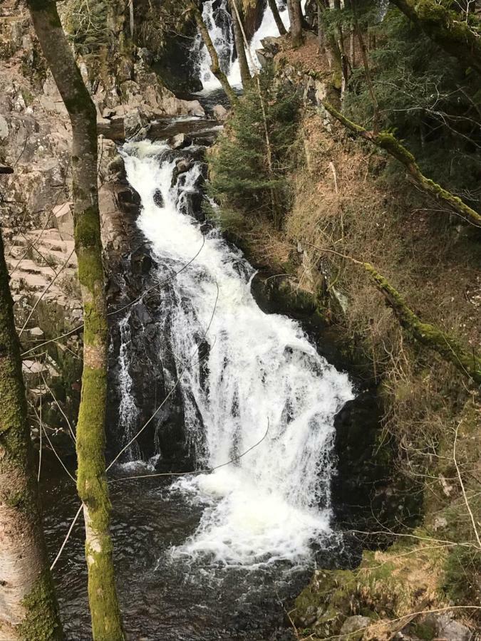 Gite Rose Andree Saulxures-sur-Moselotte Esterno foto