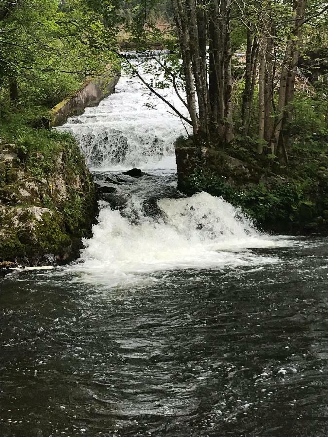 Gite Rose Andree Saulxures-sur-Moselotte Esterno foto